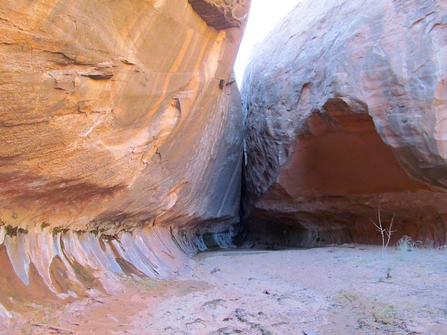 Jk8pgdnCed6ByW7bx76RKXG2yhUUpwqLS-dLVniq-P9aVcR9JjoGPistKffhV_RhEKEyLHso8pwdLQ4gl9jp_Xoj5R26PIu0ieUR-a79gUoXeKjNG7zU35KH4eBfNe2Jfpw78Lv50d0ExFytxKTbHjG4M1w_FY6cprEFE1mZBSlGEvALojWD1qaj0r8XenHrtzzi7HRm2JlIXdB-hium8tjrFijyTNZFtB65gVKdFy_bkk5ZMvZIvOTsuE3WOvoQOWqZ9Lo42NNXHPjcLgcBeGCbMK-ECckbTiyUMURYIrVOPQSa4oQg-gd0pKHvg5CsBDlp5bR2HrnUwXaGnq_Q28vfs-m30p7XHYRIwTm3Slhi__QffeSdWyh-2RFXx250F2hkAXjT6X__4_kBUsAOotwAd5uTfsNX5xlrPdgBx3b34a9zFl6SQO6qTD3BWEvuLlwN7TDjrzjvmNJzemSW3LpudCfJJenhxJoxaZ-JAzk7j1pwytJmP6xrVA1zn8-Y0O6IX9W4eCKyX6n3JsCb6W-Bv_dywtpfai3pKynSTUwXhY3PKCPhCkOQ-uQXZNBxLjLkqz0EJ4-SM830HvDCeSDvGlU4NwUgBzNf1Uflo_-NYEBGy6KfHwLjKGVloZjDptGTKJ4QAktxO223_lJPbLoXZIBYj2D47dU=s640