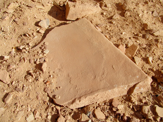 L2AB8f6cSRl75Lsckt-vYeG0em_-ksCdd443nP6GQcNIFmfHlKC4wBbPIUurAyXJQDu0irFnMsPeiCRqi38R5B94XDmUECn2Sb5lwQ3rszTLH7cKC1udY4hztPs9o_1xLP3nSSi3XG5_hP8yj6OYXP-4M51u6enOhPTAB28ZWTOUkRZtt3yqCRi9nVUhwLwoXHQ_53rijBGDPgekUCybGPhHZsC9ZsjKIZjjvzm6Xn6ncPBc1C13LLXeZKMdMUI1LtCmlzVjJKK6cX-ExgccnWqitkPxC08hE-f3ZG7FTs26bP6fVvfIqzG6tQU6_3xDcPUWYWmvuT17q9JO_FjPtb6pRXjW3PktQR5ziiUrDDQFt3E49hgTCvZLSMnuPIBJJWIG48io296qsqQOR2x8h5JWA9T4bW5V6HISHlTaiG03RdmbRkkmmeJrlNneCvHD9C6eHxToqUpA29XrigVuVxq2jz-hQe76Vb-6l17ZEKYUDNag7HMy4pBOyxZVg0JhDmIG4U6Lv4hvjf6gJusqf-ZZz_CDVvw4HSKMGDA-kGhjSkgJtPO0hokGhGksVEE-QIdrnrqhC5D1AsnumpZfhSYuknSflJI56lz5RJMRdpCkMey3rGTxALGSXcvNgQHyUeQOj_x-zHUwQD92iE0ZgZVq2aqseT_0Rk8=s640