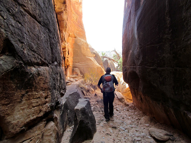 PWD0zxLDvoOtqfAUFcvuJ_o7-yc2PNc6dWqVm4Y5-X97WoA2nr_zHn2ZfRXxasGC5547TyZoeoIimMkfH7IoxusqTgH6LyHSRYR30z-gNOxrksvQDH37qw9ME-t0dzxUpT5_1wntIWlBDLAdCLMpVNeBtkb9xABLrghUez18xvXzPmK9-OptZ47CzFmYEmtUE9gzmdgBgt5z0_9LieveIrzC3VeDT39_ypjKiNzgPJXLxxuuSxtkVJtFtaBroriVdr980HFgaQWHdX_CRNBFt_3flCGpuCck55MaC5hZEoT_4Ia6boDJIxRqnHHbm1EWyhn7-jmrHCae9FxO_S1nMGHVzZiQp24696nbGoCCHR7pbR2_au6M7nrIp8aBhMrqK2AzQqpbzlGYJlHOic9pfGxifA4UIJt-Ix2fLvidnyDwUGi2dJdHFoUIT7U2PidTWHlp4Hd7FAQb3OS9otIGw1Q8IW_FnNIZbYLtw7OWOe2hTm5f2grkYTjAwpAM0l9HOhRlAheM5rcEPz7ofwgfKbIYSwaTIHCuhvC6Oqq8xJULBTQS7mQbk2nS7H2-satBL6UvyuWjtXgbWiOqqEclSBMw324ZNhWhktExCCdmEsREwE2heDPH2DU7Gb4AFJ38f3CzawnKY--A_z2FoM200CSJTAwf76b2nTg=s640