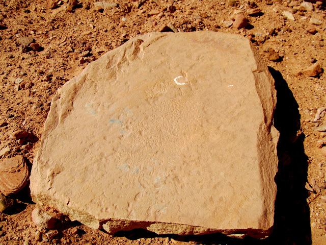 QyzdO507sBwOetzYksqcwKH3kW4sCI09k6iuYjl9vcig3VVOpiGFvGPQnz_3u1g4jLdog-6_a91vBT5lWEbQ64reghNrQE0EubzCsAqKP67ZDRzw-Dpigpw7ewRJmrukidKLaWxWc4nJjfgsZHw7UMziT6K1BsYn8AlvnlE5KvK_7bLodkTvrlG0EUyIcs4sZ3DFzLsHyNDbDNMNhjIzd_hDbkvCkLCszRQW2OMtI-uiA7zkhoAS_K--xe3UjtMRYTizFPX4HEJ0vDvNmq8nJ0xu1uLtV6LwoovcjG2hHi_maz50Gn7GVbM_gLm4eqoDXD4yzflBFRgmFw5eSaG-CR9xQfLxnSnwAYFqr9tyw6K7VhqF0QteVYtmijhwvoNOAlcRhJVoz5FrlPnIAnqbQFeyYfNc4l_nSiOx1aYruiSH6E6QX3ukVvsQLjed0OrA4z9gPpm5_V3fjolQUweeiVhkQJOGKYpV4zKT0dnKG-1hY_Cdp-834OF8sW-OnaqePbZS1ch94yn20uzzT2zfctDdFgnlF8B7qaAN2T5BEL4YR7yR5gKS2FOIhU2nQGl60yjLpdxf5pBPYfgxmvyPGQdSH1qIRpGxdWM0yD636QEASI2O7MOs3p-PHV_9SsHW4PKyCbeCWTAR6xuICgfRDfDeUtGdraawkm0=s640