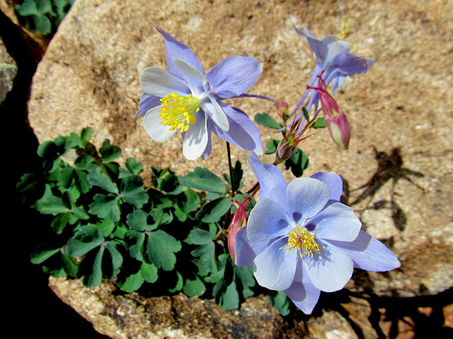 Rp9Q3_HvgkTjIa-2iNHn7Bcm0FqYfNeXF4jpU8SKwNHrPGY8qMuQ6TnoLSr6BYfdNqutztUms301WWAEEg=s640