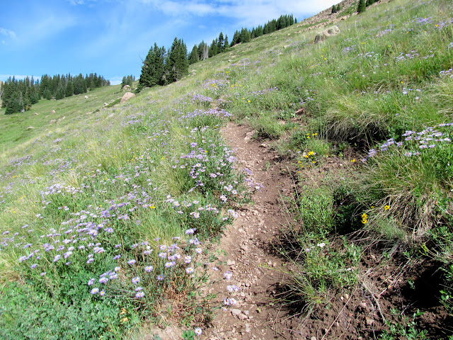 S52zPYuTFcyjLdLMPhTr5QVu-HH-v8EqwQl1LphbGGiD-Fd0myqh2TbS80cKgSDvWKPykmDGznnlXr31Ng=s640