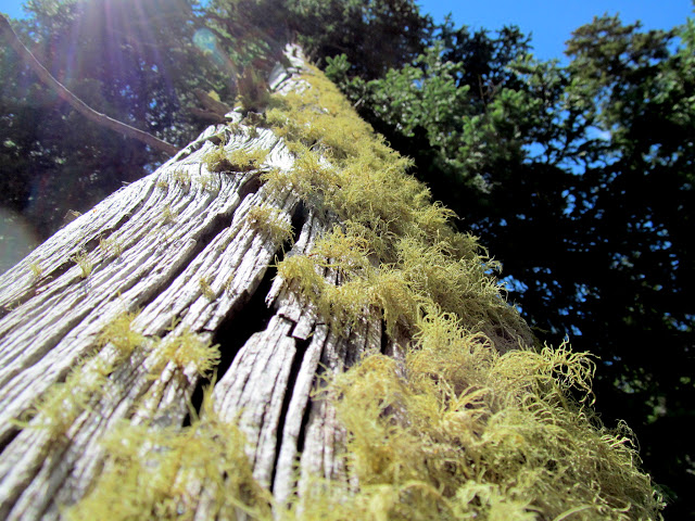 SBMC4zsr0vd-wilbkP9tLIIbtuXUXKYQmbykIyQnyEkjvNEkr2t-I61WlNEk0ROR7sapYvj9Y4oXTbhksA=s640