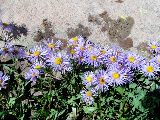 SZ8wxiGO5zZx0XxdNAjQix9K6hVUYGiQ7FMow21XzWIOiSJMfIqTXsekQhjokrCqE6TVGYyJwvEt_5VqEA=s640