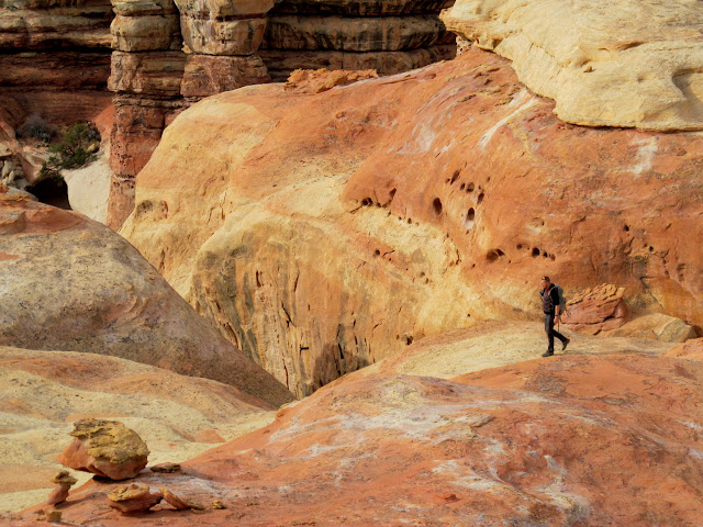 UiitblKKo9ohvQjbZXARiaeZWBFGeLU2ladM7oOo1U-lOAEzuDdNOWzIvsvAUNmsrEdoebYbem4QvqeBZ8yEbGyJP-P2rw5BrKwGHJm2TMaw2ResX7u8cB_BQOrA931jKvKc17lt5XP9GNs_FiEpTxfVncuTkdpNxdhR-T66QI1bZ_1JLBKfdl74zImgG1_jKHB9duc2IVgEqoLpQE1jzwiezvMdvBHmEkLWwzk2QN1SepRIeCQsWeEj3j1_cNFhr01JMOBzIYlXSjhq13j_wcbF4IEdus8wWp_jpnOnVTfEpWCW6JkAh29QmmgWFb1XqDOStU9u8RM7xthMJJmZznvQ-DbQx1_0mxqMfJRR07wkVP9Heaxvpl9zOM1np_yjewNzsmvlzl2IGklPWcvJEeu4FWM8mJ7QxJ_BcuKB-iHUedXerLdjeVwqZreuPV6hi7heFH5fgJs3R1T9sPb8L7KzByaIubGo6aEdat7NapkZdtVP39MFoNt9g9KNy-Ft0m4NZOITf5xRYixYPVa3frrf4KYY6zr4YhuDBYpe0WWaSiX-ZPZg1c3ZtWx0LP9jEML4sp_EQFeyjIvukXyUcU2CbImAfYU-xKnjwR_3TeAH4CW1-2RXCt9Me0VPQzIzbLe7xddR1W1NdrsgG-hyyGxgudMFYpz7d5I=s640