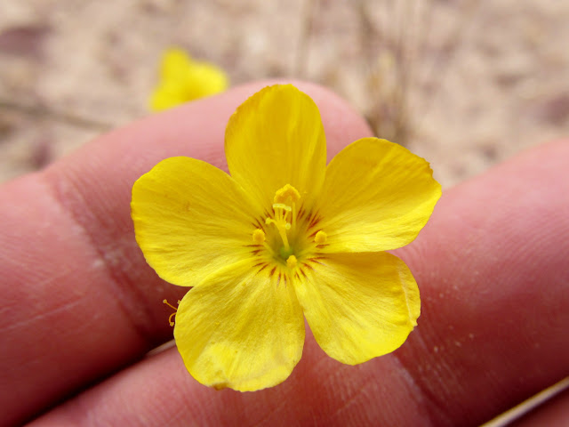 UpCuj5-uxBKFG3CB-u5XwVSuFRRBYz-t0u2uzTN_4IpbLTnLTo6E3JsedcGm4uSlQJsA7oJl0FbeuW2nvWz628Wgv_VjhJuBNjlbO5Pgz-5zPgqHHl9ootvx_X56FfHwb-uZirDtAOnLgNM_GJGt18SSJN5z6-8u7GErTB6KLRHFblJ1wMiOVcKArYQplMKcQXmNHV7oKf0yvd_YG1MJMaLRCOrdRhA2k3CLCDwFPcZ68YzsWy-zwI0rQdVzPUwraCtefoMG5tO7yprN-b1ceFya424Wwv-bNBsjGDIjUZAQJoRHIE7pFgdxQ63Pcl5UO2IFhFjDQLDrwn7d-1TFc0RhYRGBjbUIGrlpVbhqVNGFPgdk0Eg_sLo8MJ04Exwb6TP0Dq5rJ1WNavsjoc5qUxNBC0q47cwyUIR9fVBA7R7eesc1kA9QyXVs_P5tSAyLvFUKnfrgKbC6m5OjpEbxxNcpC3KNGSLuG-0TnSe_o7wzF76-Nx4kJCX0McvX6b_15OEgyc76pXviRayuHEVXHn69gKUGxU3rRTgKBf96eMuLV-Te555395P75rx4j8y0RMZtVvIRgn80cY4RCcxiBtoG3F7ofGto9phB9v7dRfMhEaEBT943lSfPhaHF4d0avJBlctp4uI5tc46qrOjun5BT0mFp0P0m1ew=s640