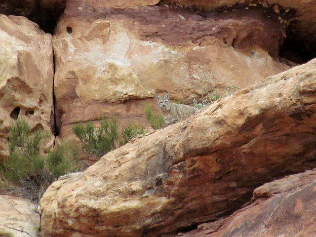 VXfVyPlW6A7TPVEZfjGtcQe9xc5-KaBkVTqHF-R_JBqC0Iy6py4NcEYlwCiTQ-Jaby0l23rTBYfEc0CxIsqH5ixT2ufJ4I6xxGjzQnbW3bbWGZAC2bkVRoZ8BXQ_6ai08Yb-UGXi357goIrLOjTvpBPkO1h08Z1nMleKgZnPogXahnaLvJOP5feYNpTukgKNxUSFSyv3lVY0ooWvSqzqMZc7vV813mjmH6BFhQnte-Ff0pZtcvwnvxIDbkxw8yGc5yrcvUVKP9Gs0YMMqgdhuEFwecD3Mk5OUuLD4ay0HeczljYbee6gYg-DQJmYgvZ2qAlw-5MUyLM6I9cpJumoF7kwFjWrE2exF_Go0Bpw284TV4NpiYArCJBoQ5izdqe6FyQETlyq0_RZCfaTq-xtx3e595Dg-C-CNqVs1pmytioG3QdE-MheK9XBnb1RHNgPYho2N5IesKlGpLvyxqXeII8nyysGEBWnRLz70MZ7IXRy49ILjShojCIiffhBkQbKNJ3-8tSmEbikbWMXmJueL8jPmE9TQ6VOK0I2W8iGrJSLFnFocDaW2yY3JppSOGlMtru2z8K_6ZYFFgF1s458UN5YYUF1LlTa1Xm3fY0uprMr1ZH_r8b6BHCMpdJjvTDcuRHxKXukn7FkEy9IGYGwnrBAgWJ-vk7ZtFk=s640