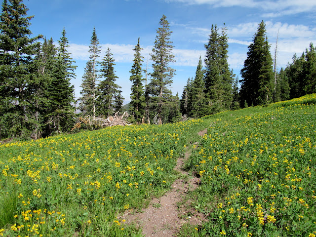 XyUfZ7rzOcz5MN5XBHeslDyTNSxouLcrlvvLbi0SGqjkXjw8BJer9h0Tst5ddIsidH7yQ16dX9ws2eU0-A=s640