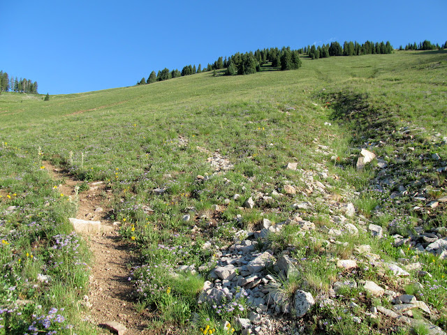 _H_V4soRB9OI-5IflIzVVqJ5czFxk6xH-1BGKAbFq6POVShozyLdcmDDr0bJJP7KtnwLzHz2fqqq5jatDw=s640