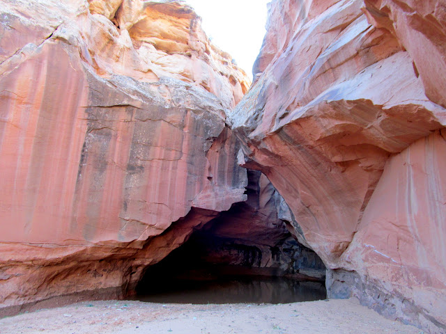 a1aoRnhvJtOL90xtos1zzBnZbogYkYZ43TgJQwT9WhcsVRoB7mzwNLWaAOZSN4TRLAmw1ldEPYmY1_BGt6qGg1Qm0XXgciyRogJChaQDyx8zVZFcuGsAp9tBto-_OnpZf7ONT8VkBQiLcat-QXfldy-D580O8XRpC3scCmaSzD3WK7g7nIzBd9L9YFE3bWMc2gVv5AmQE_od1Y7H6glxdNyiQ7J6rYIK3fxJtrFdUT57kWvFJtf0-RSORLLLQyysYWM9cZMEUAS2vdPs1IDH_vIx741BaZam9XXaLmxDqQtZEOPdVvTe0Mnc7pNA8KioamnGVVHBwDz19_fLuHg6qvICNZokGXNKVh2AaVeCz3iAdue0t0y--Nyzq-4s9gSAmbXq2a2yuUV8e0bjcBq3IRIuXAsZwsfKq30GsEekn9wLISOCpIuHj5p28TIbUOwne2iTdmdU584NBRd4b75KZeWHzt0l3iyuWB0cXjznW6HpKrOWBZoMy0LH-HcAUo5KYR5PDS8FjQSmAHIQp01o_KjBipgehNnmVuZRPEFJZblqWWD0kD333vgwaYOtjrOG84-5oUCVMrorrSyMaAKXHbm64UFXdWoOY3CaFdSGFo-0MsNuNVwk_DYGPcS3PDOu-7B4mfCs9mjMYSor6Mdv_-X8_Pk6sj74b9s=s640