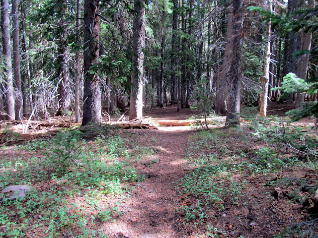 a3JLGa4qDxKwpA_am_aP2ZA9XejUbXddIWXjK-uU49BTR04iADOOfIPLH5E-2MaZ6mYIArPO8pgyUE8Qag=s640