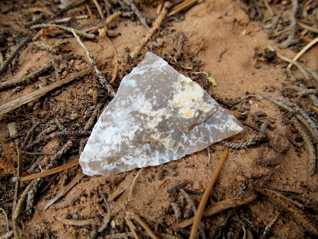 bi0ZVmY9jnZecf73iYKz2Yi_E9vxl4hhaB_01Bg8HweXSW6WbvB10h2uFTn-VGA5ncAZ2tFYgNmBeLlzDDGrx2LHIS7dHI8NhvAPOztWxUCX2klxQeKShZ--S-oSLpG_0efdGStfkRQt0uhi79fhY25yYIue2uIRri_9nWojDMUnDeEn3axrlxk9990w8eyf-Xu0xt_zSBaTu-Nh7DUgFMVg-FGYOWSDJapeui92X9rxDtjKLtPrOFHBKY8nrRMmRi4lcpcLBLY6AOYi4bb0cJPRXh0Xu0HDCMjz0zCkC8hrYAx_HTyRoHjV_ASpPYXBq0pEpy5G417mfgc9wxVn6gJWZ-4zQ4P6yTBKAcIz0u-EJWQwc-vi9bwqSgZj2B6SQhAlk55NpWuTE6P8LfexmRGaGwDwCsKobY_PhwyHcNkln6HqSgC3C39q8Srk7L2AD2-lz4OmuSZ9SRrDxmY01nD5Un_YxuCPvAXhzpi37O45z4kzRXwESSkTt50-fgc4q6JWT6HSNN9kh4L0Dt2vkRkA5fyu6SVx9w4Rp6KXLBS_NSbEw2A0qavAm-gtQE073IIUShPpMHQh7pGgMQwX32taiuAxt8JLnXve39B4Y_-qOREtVSmlPRZFPW764BbyodD5eTq9NHg53SRCGOC3vXUJQ_zyhZaCKmw=s640