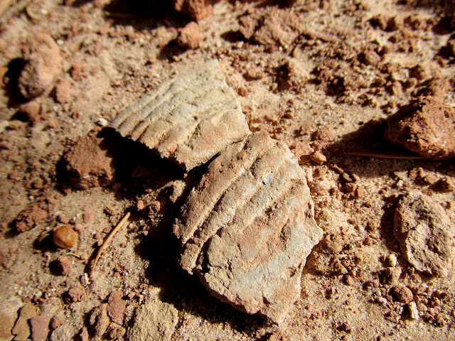 cdLd8Vw7vBIIWrnc4JGmRC3a8s8Ay-PDgjbbFTVMCTfQDfkAMLuMeF5lELSLopCxQraHIAAjx07QTV05ZtdLm8TigqavKtOlJL_FzukFDPGJho5Rl1o54UO73WXvC1ZsZt1Hm3StqqFgjt8Y7KkqUPAXzSh6c_6AH0oNVg76KTnAVEnbcBrNxaHrLBLB6bNVvYZC9JxlOtjoOFuDSaIrGYNk3BkZm8wizWOZ3HgEjEcGftfCJYtxNodHjZh_5nSSSA9lFleovxruWaaO0QvguESyHpMYrIW85o2WRerMI6GMlSNmF3xNZ3Wlg22l3cXiQNbpVYSk_TOH9jJpoJWOjB9gSl0MCRwU5vBeYoK3c3gmPphe2HyTb7MAbPwHlJhSrNanEpHFdi0vCS6YLg2fvRiy2Us1U0dLDM5b22t2QE159V-E9U-T9KvD7ZIBeBriQEvFfQY4kXGrVQaFJgWlxrEG9Wsnud_RzzUiC0UK7q8NHiqS3O6eTn3PxBIKQ_2Qy0AM83SO113oRaz8HGPsYyhdjr7HeS4wnuTYCZHmkEb1UhoRNKNwKyLOAXcU34tAJPYmkuxPSAKAv9mk19_ZMqgPx7M-gNoS_uzFPjuf847qDfrae6Z-1EHiih5d1jjfaMkik-T4DN8jxqTK7ZdjG7wfmpc1H1i4cco=s640