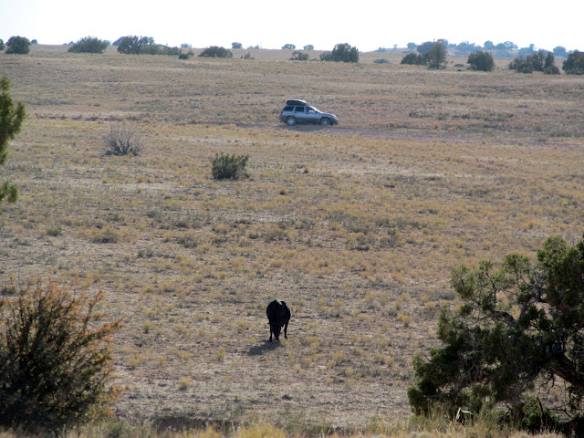 dTQO3pfF5C6d1hwJ17pZZ4ylDf0noEt7hzHbNrVgIv1xbneVJS98BZgEvdPtz546ATZFIlYP7aBawz_W0ux3xORhR4E66l4gXwFpaf1nXbwNfLuqAF0xe3LXo98Pr9LeIgHQswUhTa7KxACshJrANIqArwsJ2gPF_l1yXknbDg3p0qxb9c2RleXh8JML5asgCYnTL9vWeaURgGW79IarVzUuN_9y7HtQ8GPji7j2wTTskWpApX4wfg9qFpvD7kxiK26dSARj1q4ISoWsw4G80mL0CNpsElJ2gqzPhpVnTdw1tyy45nkd-4JgUfGhDqG2Y-X1TU-ZDLzYS8vpDXqPtNIFLySV0nishNbOIHv1Oy30Pujhyfhqdev9LgPL8caoDJXbr-4m520WUAgjcWYWA3WY_kLdCzlMClAfsZhJrmpRscZzrb8yaR_9f0Fh5sf2LU_B73gxuzDWKk95pcuwc2NRstW900iJaKzfwrjkL65SZBT4RXxm2XZIp-r9pvQp4ZpB-vrFhvs1RJ_IrjV_--X0eS_-FB108-8C178EMYdtTI-9UDFbSpk1zlDw8rZ5YFz000n-0uwR_YdjgwaYbnxD0rjEsRcBvk03LH8TRAzBk1gwitN-bRxb2xQwTRVkXMW5PWhHQ6q_7XOqvxj9eaYSFKnH4s2MNQE=s640