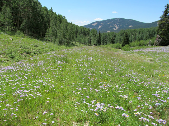 iPRVJ3WTTETlBmRzDPyl0Wez9Ls-n4Z114uNlYzYu2PY55hX84PdtVUVKVd5dgE2_KZPxwhZRiJxpjf9gA=s640