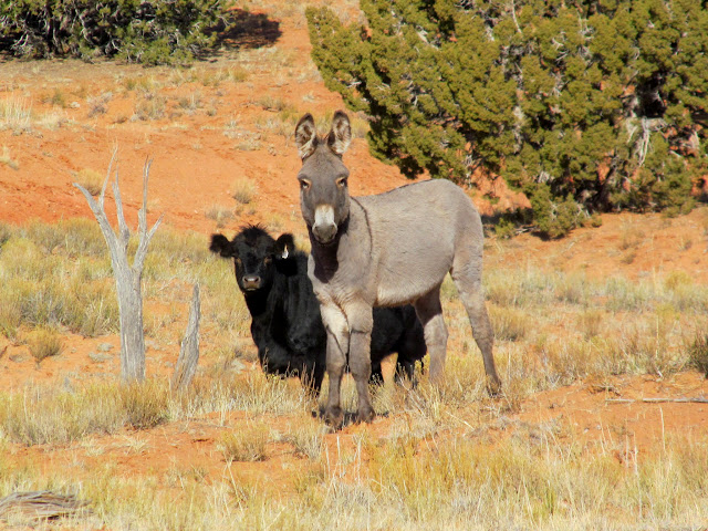 lEvRd9dSXUMyjlzDLos20AXCBtYxtXg_AtsXnAGCS3fVAisFR8m-vPoKo1aabokiE0v83-itNVSzLpAtgD_uVirixYz1tLlE5ia07qd4R1tPbsjd2E7-TvYeTBy-V2tBMzTvTtaLwDzEovDPdAuVG1x7fBDHrKat5Gf8UttjQy2WmDRrBZm4TldOwSO_HyV0Y1RyiCwGj3QJNeZ0AGvM1m5rsFJYdxpc9mysvVBy2ZSM7ETpk48z7D4CAGcD33D9aw4rs9SvcytQ6QQp8k7_9i5Dab8ZZ_YuOguDHg4rjHs21s97G35vZRuOb6uSwk-xc5gzhxH7_Kr44MwsqP9ZeTIuTsh-nqljuXLbDSHYUqG0x1HJ068VH0tZOpyY92cuh05fqo9p9sX-HYSgCX_2TiD-8gkSw602DgLm0WGtD1xJe8s-bwmDYwzh5ypf8ZlBQYifl-HEiDq3nezsn6RkcegG9zCj0mvk2vXUdQTYWeaztZFiAWVnhMEonGnzNeHNrWDtpIiFwkqLNTOy0Qb6sT1IRqpvp5BRVWa1B_Y5h-NUDobIjGGHBx-uQJD3tgc8qgjwJ9EY2AwRU1r5Z9liKp8kHVi1kPkhbHobc-XkEvaf4L5wpOn07cQPeBEDVrI7u7VdJkoo9o0cd5ePnOFwWpSq90piJdxJvB8=s640