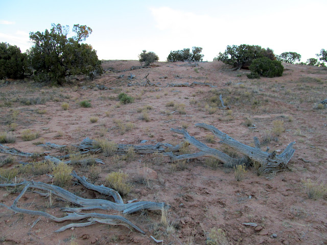 qbeyizbfCxbhGI9SjS-I659bwlAowznSmhvUy0C4dtY1xvWK--DWObGqKcjlmkuLGulWpb-tUcJObfrAYaXbQlbg1mdYIqDV4FX9fHL_aBmtiJKDUPztqCp7PJDp_luU4YgZKNc0m0P-FNfp5P0H6RZ6uxVpoXap4MsEeAxF4Q8stdIe9w9JMJLMELhYj7brTEy4IUySED0kx3Vz88vWd2xS9ks1dSoFmOxlTNqi4kZU7VdxVUFeSM25V3Y6P2zszVZ9-96SRWEu2K9X_ek4Ud2FSqMBUhhncoWacuxKKH1El0oDRDQKbzUV7l5quJ8Df-rOUjpGoDsuk2dfQLUOD-_HoN844a06nab_2gXpplHqoAXGEpx0X-koWyirImvg17T8CcUnUdURt7_cABw5lg4iUG73qPoSK-QaM3fuvQUx2IP7R0HCo8ExU8KLWeZ4A7te2rxaFQt9nWvz53y3yaJSGAE8NcioXMoTwNlEDd1hedeH4z8FScxX4E_Htr_gEFw-8Mf0AnfBkKk9ZaqwhluJXnPYXCBpTFpiYw7oBc-z4ogjfF4eHIxYjSjDP1OiOyjnl6TWO8767qgrSn0kAb1dgwc34dSVqvuiWDN5m5TbQG38AiPES_AChsBf6BlMKvjYSHTHgNTY1P8F7L91WVDpEiIcorFb_mM=s640