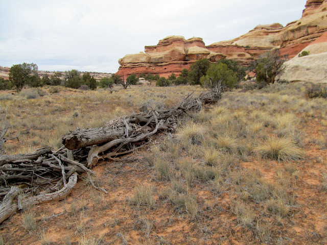 rMbz-DO3Nzo8452w7Dm8Cl8IpTxB2dq1T_6S5qr3oIupEVvgLjPvLLZ1phP3T6SfXgSm7mXlxQas1HaruSwvevpUyolgrQXcNGIAPUgBhAxNmLwhom-SxW1O-gyLrzkBoflwEycV5LnOdS-R_mT63m9QXzlmaPP7A25LLS93JOzVIU4Wjf3ryFHXzGa19VY_ihRmFFPFD89wp2lm0g-z2uRzqSabTg9yHolZZsWNDiiBr6liW7QacDy0tXJgKtZePNBD1vy_NHGKyzolZTfZQB0vbVVr9nlXw7ddSPAKrPMHa17FHWbTjiUCKZn21JXFSWSLUB4Wih89hUBYdBOKWoJrjp-SbrHpqQSxTcrNg1XdRx3Ko2Rk_DBNCi8DX8p2gytL31LUGclpVn9JvuDfYSxRRFj9nBYWe3n_3dtDA8ApgkTUFRK48q_rcy8sQRrwDshIbrq8RFr_jA33Qswq3CH6mgBUxqqQySVPsfpZfokeeZzgGwSTwA-93bdn41pque8KbX0fBi5oLce32jGFz5T-mBohOWnQ_r1IHCnlSOK0v-_mNTSi9GeSzTX4Jy2rKY330QyqRw8sdGNHKTIa7xoJcuvJFAEUtdUgDKXnJBiyweE1ci8LnM0mZ7XcSt6hawwqVAdS5FOMPzUE8arrreaagwcOQF1by70=s640