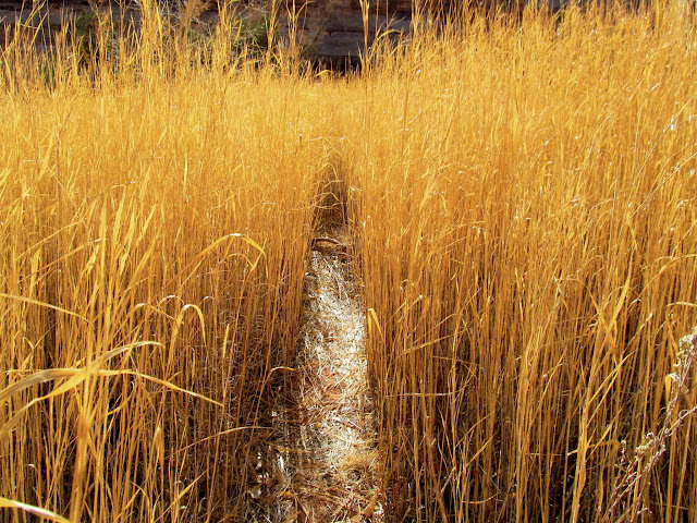 tKr0DNpQxPPxEttlnicmEsTjFxI7xuzkZBnpfrn-MVHPrxmYNvWl_SxbNzjcXd3goJCa-BDbuoeZgAC_lMC9OriR3eW0HAOHuwu0aMllpwD7ytKqMXQ452e-QUsDAtrR-uhOS9vRGuZVPkvicPaCgx54IfSlKYBJxCYOlMqvqmdumQMP80nt7SA3JUTw8xsfVPwwbjESTj3RGbYSRylH0xfBd0noIdfdfV21qaJhm4iWkP_8k_sXVcYaHiOOXYeL11GM0d7vJMgWKKxbek8DbgUeLnaqHwWl0XIBXKqkF6WhRibIUxjpQJpKWG8FHqILRl7hFgmI_Qyom3k7VDmyp0hfXqmv9TdGlY0WdecNY4NSSkEnR0Xml4QYD9KMbDAim3GrrSJXure3IKgBzVUJO897c__ETBx725B335jPrJaWoZkdECwGin0cGpQl0WNAe5IRawlpGtG5OQPbFKBvQpNDherxKsVOBEcbYOuQbNgo1AGWrz9RJRMI4lT6wYzIAFE6JKscWMKuHtUARdtkywiKGhkDDry5R1l-0DzsO4ItLNUEqKDlqM7Phpa1G6qLKQYLAUj7n0sQi2Qoa6DjuBogVWX_RPCWcY3edaniZRMWyW7AQmnlgO6cQzJ9n8Tu1YWWXF-h1nwwP7uciYV_J4vAkv20SKnx8ag=s640