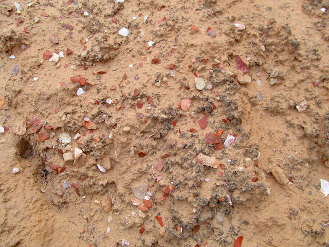 w-dFEFLPaRGtqk4BH1J5mq1_YWT06yaMNbsNybMeGtAmZ9IBUibrE0qOflBQhc_SihBxLxmoMxPZv0dS-Cp5NpieG501jeHZKfiO6CKee47WEjMc1UFMA2sxdH2g9O3OHimMk7vjAdeADs1aJuzVhLvqzspTdmnnMegZR6OtnJ-3WgjGEZ0sS0Nw4itEWk8QA4MCQH6bB0gTFBEUHL_cQ7qbRz-gZMjsfgIjstd0pQm8B2cuDy2cLqS3c5EzY_3K3XVfIAU1RYWmb6KYHj5V4EZaHAcdQe7Im-CwUEnl36DXmbD4qCb7PXxhjfdHgIMlPQe57OQyn6sT0RovuEU4jt5m7PaXdyEB6npT9OedpxfIW_gln0U5xV9MssgjUcIfoYLbRVO3D1afb0U-mWWNcZ1CRUzUxp6uHPrgvOj-xyFLKhmjaHayxA6aHzWUmytrRsj1rVB3y3Fsk3MW0M2QlgGzSKEUPTNBYQpFp1iDp_qqZBh4JGcP6bTRwQc71XYwvSPJTZd6TcnZjawocsOLHoP2YojMw1FLGcyQn2YMEIuNPKgv7cDc7meILNpD7mUwgLjKAcJbrcJWl_POCRpl7UZU2PERAzwPbEVLd5ucFlEDDsN1Lr648PZcLqQWi94X7GDSGWhLdt3yqxNaxY3sVqjkV4hT_SEbzvo=s640