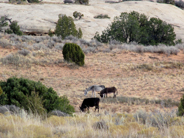 ymMzHeJM0EEL_T2DZj9aRsEuMmQutUCDd6VMs-Z7UeDEiBReBkZpwV3e0954MOqMR7QzO_CDpfYaGdsxN_jfBIoMkFAjP-t5NNoB-We469Vt1RhTAjjOm-kv3XGZFe5auUUV3A0vDgFVX2MowWX6uQiRdaiunzVmDDy4C8_U31H8GrjBj5XOD0bRjMoHgzpiV4o5s9R53j9A3Z6Q1elWieS-CUZdV2TkoqIFpfv9rVUsZ7K5aMQeht_6Swt1Rc4yAGXctlCmJAnsa7wB6frnErog9_3oOyJ5_lMUGU0kKX0y01BOUJrrlRDh7h0otw8qlP5Z8YlXEqcrJqnAzBDfI3yhfgrapBG8PliKVY5DsR5eBOSZYRxCu3hX55HzCobLu7T1c2DNv_KEqr2ppO-Odp1a3p4n7mI88fQmOZOg-MH1nsTYj6NGYW77VBd3dnO395ul3dsufszE4AtvfEStHKz3Xsx4rS3LllReKa_3-hQycT7ZeAiE7hzNaZeJgAx4v65yuD5CZsXIeZUIz26Cy9L15YhlK6pMvnDX8Uumwz6vOpm8jtkUW9enWG3i71oJaPdl2_vQ3WWR5BjlVL5YoNRr_QG0Rz1oGsNAqe-zZgeOKfsa0u56km7AjimFfVvKgbLxtCQu3szPdSLcp0cegvwZp1VcATYvy6Q=s640