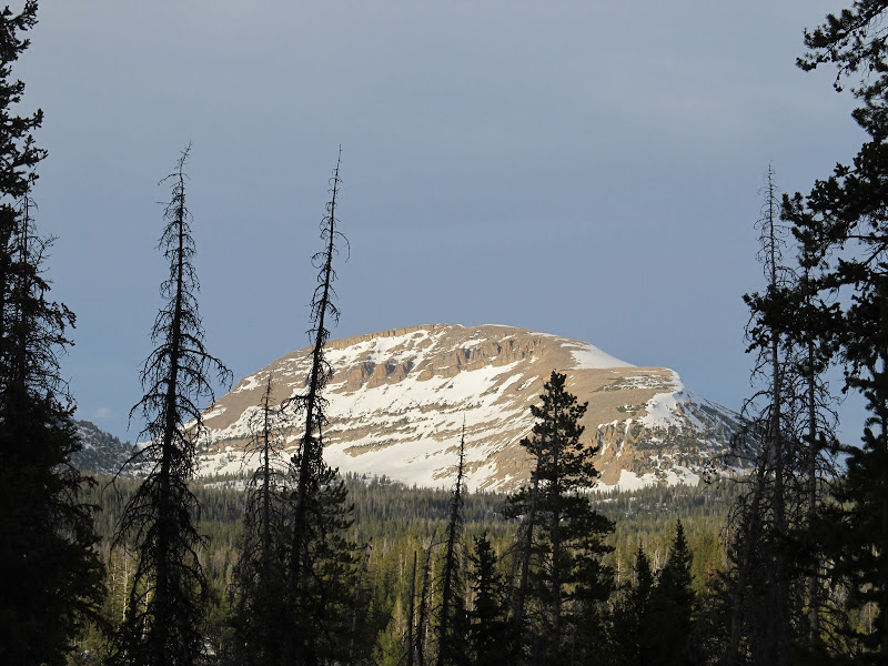 IMG_4975.JPG