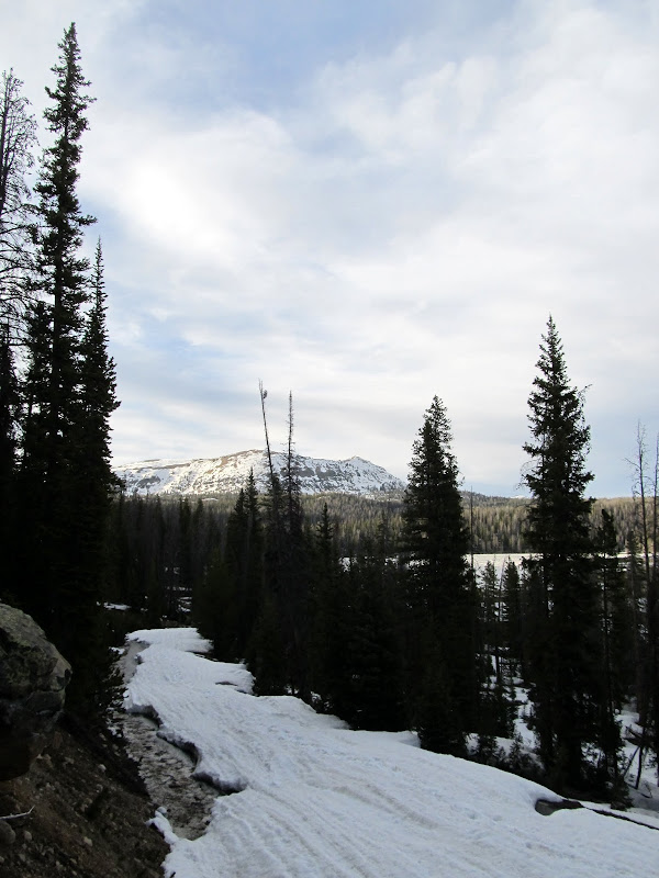 IMG_4971.JPG