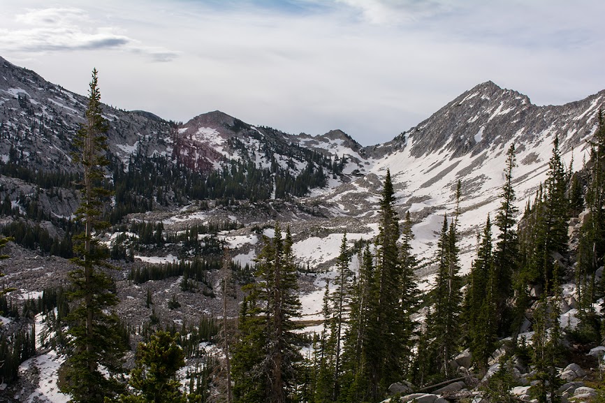 _DSC3568.jpg