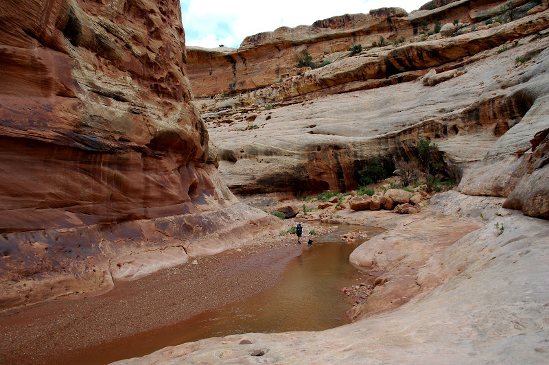 White%2520Canyon5.jpg
