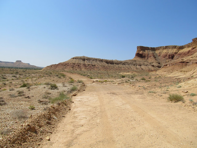 IMG_7086.JPG