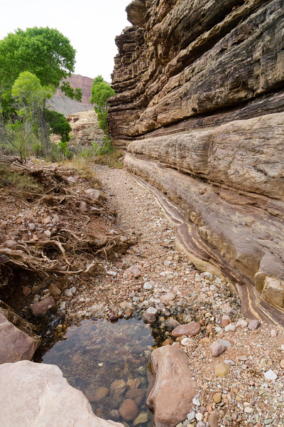 grandcanyon2016-401-L.jpg