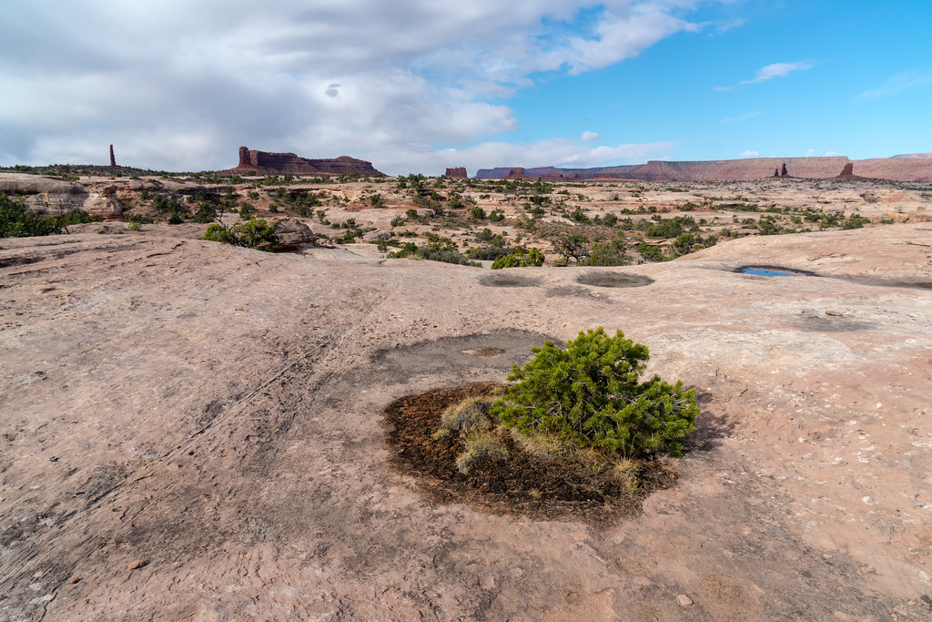 moab17-235-XL.jpg