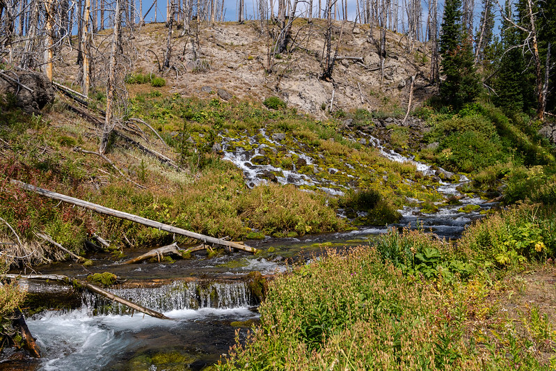 TetonWilderness2025-052-L.jpg