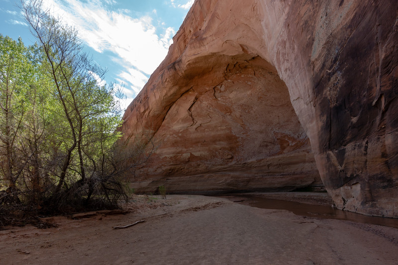 utah-colorado-2018-104-L.jpg