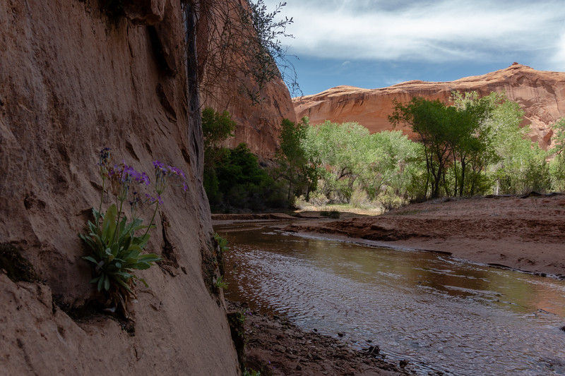 utah-colorado-2018-126-L.jpg