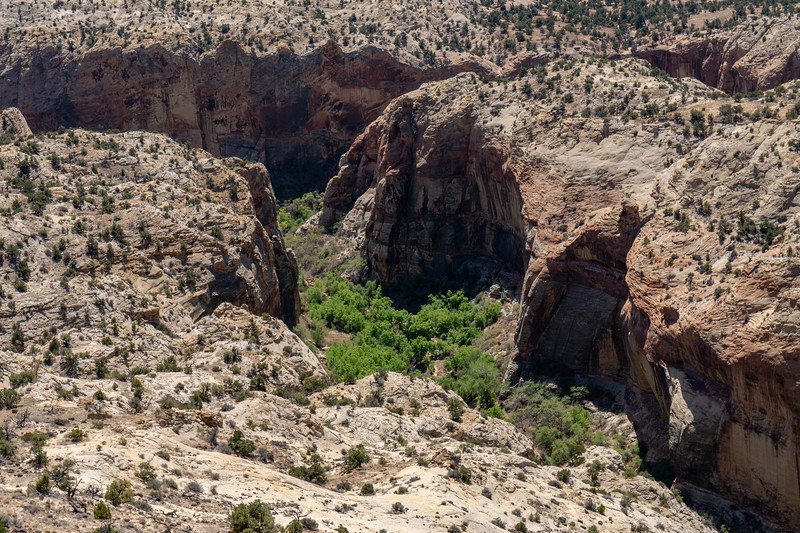 utah-colorado-2018-010-L.jpg