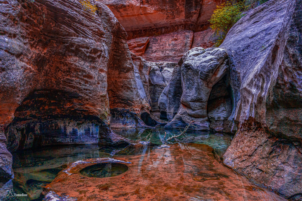 canyon%20reflection%20copy-XL.jpg