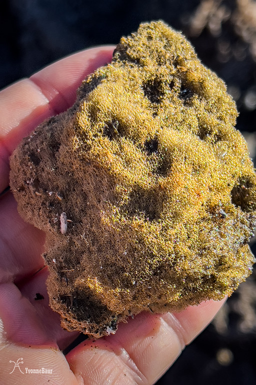 reticulite%202%20copy-XL.jpg