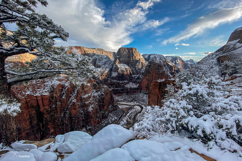 wintry%20zion%20copy-XL.jpg