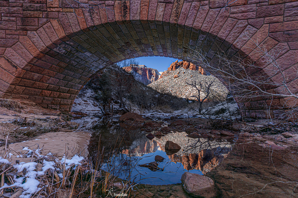bridge%20reflection%20copy-XL.jpg