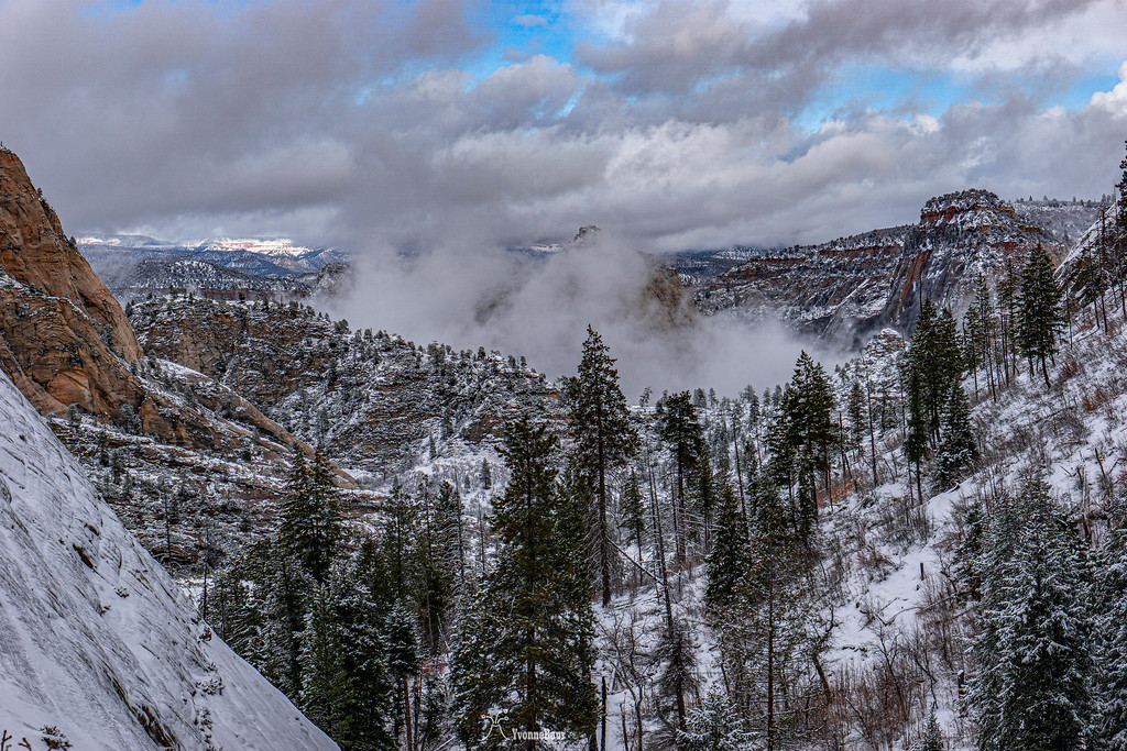 snowy%20zion%20scenery%20copy-XL.jpg