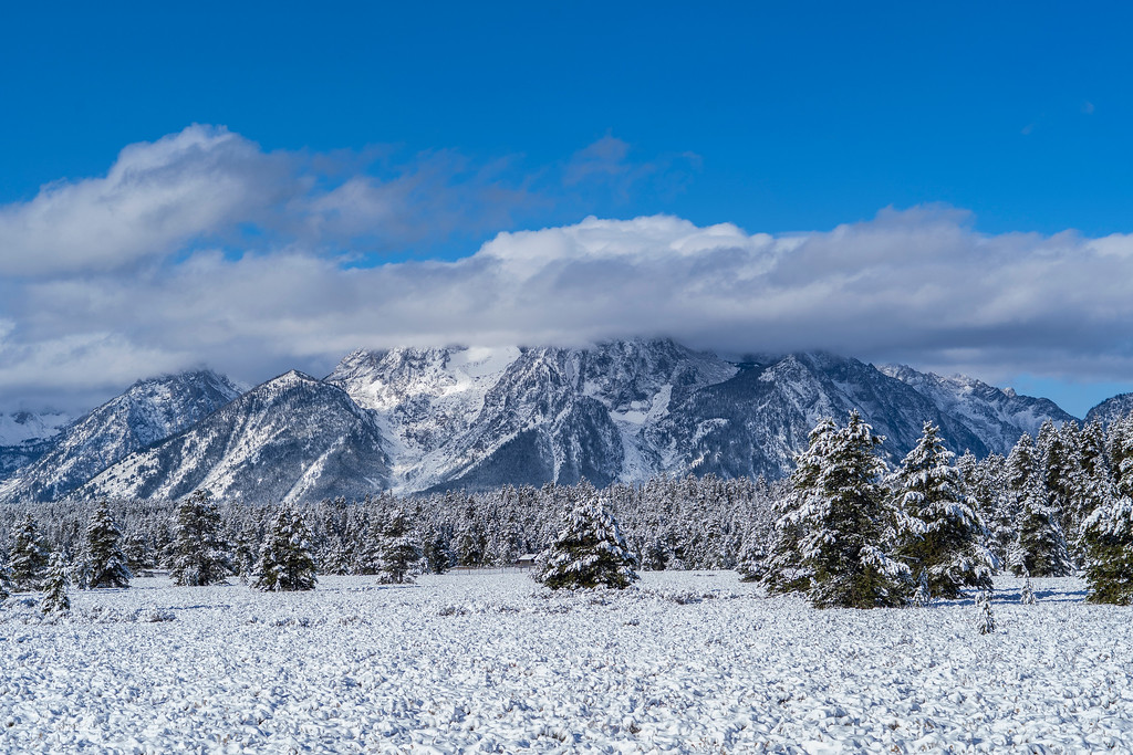 first%20snow%20of%20the%20year%20copy-XL.jpg