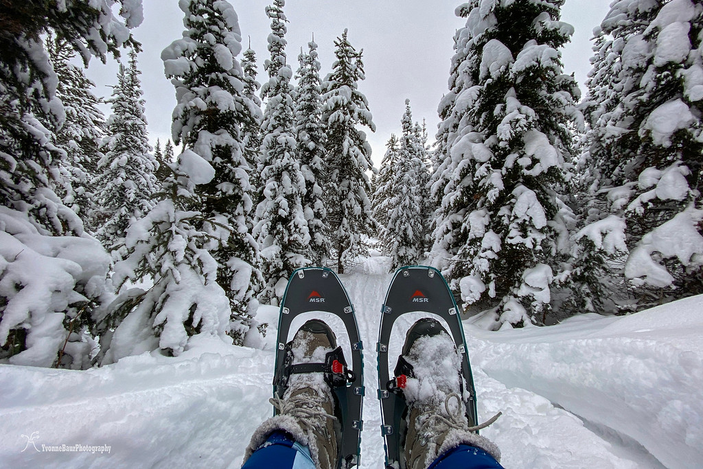 snow%21%20And%20Snowshoes%20copy-XL.jpg
