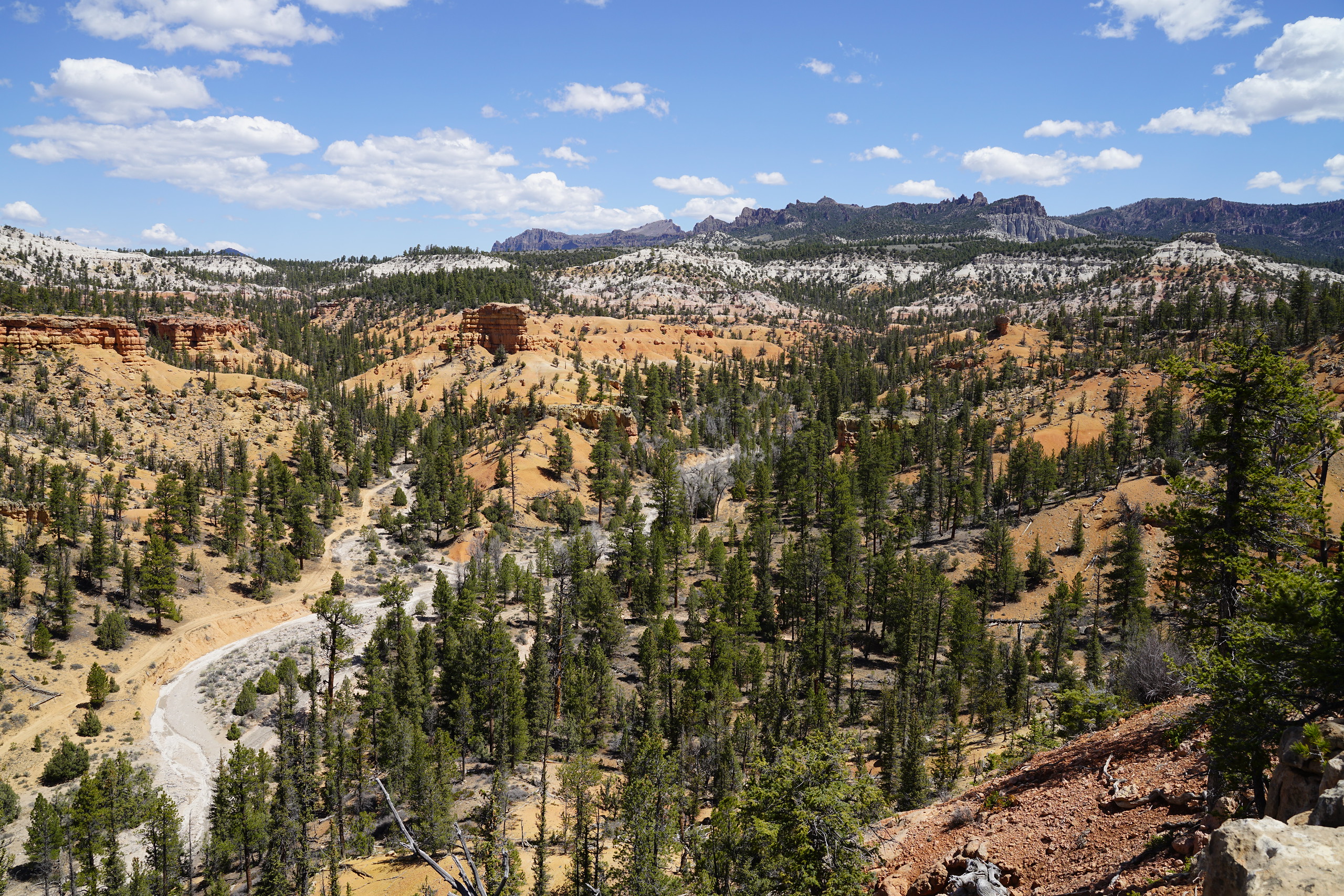 DSE09394-X5.jpg
