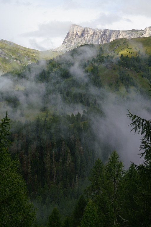 DSE00383-XL.jpg
