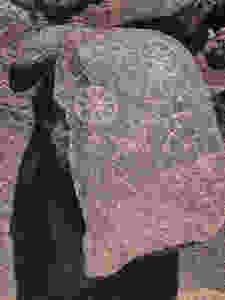 file.jpg