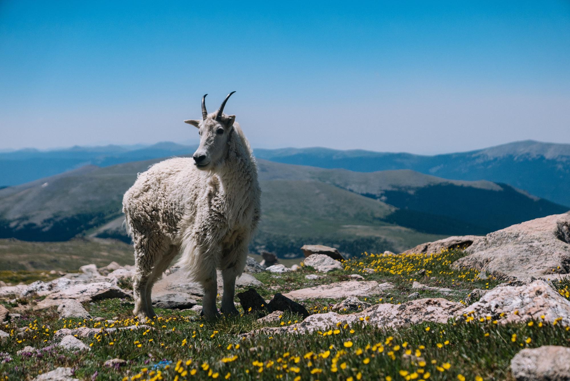 www.colorado.edu