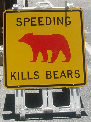 bear-sign-web.jpg