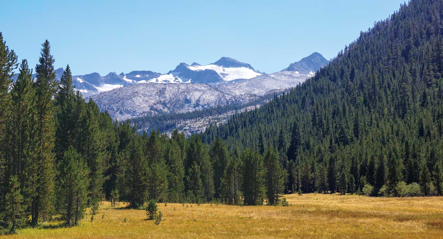 yosemite.org