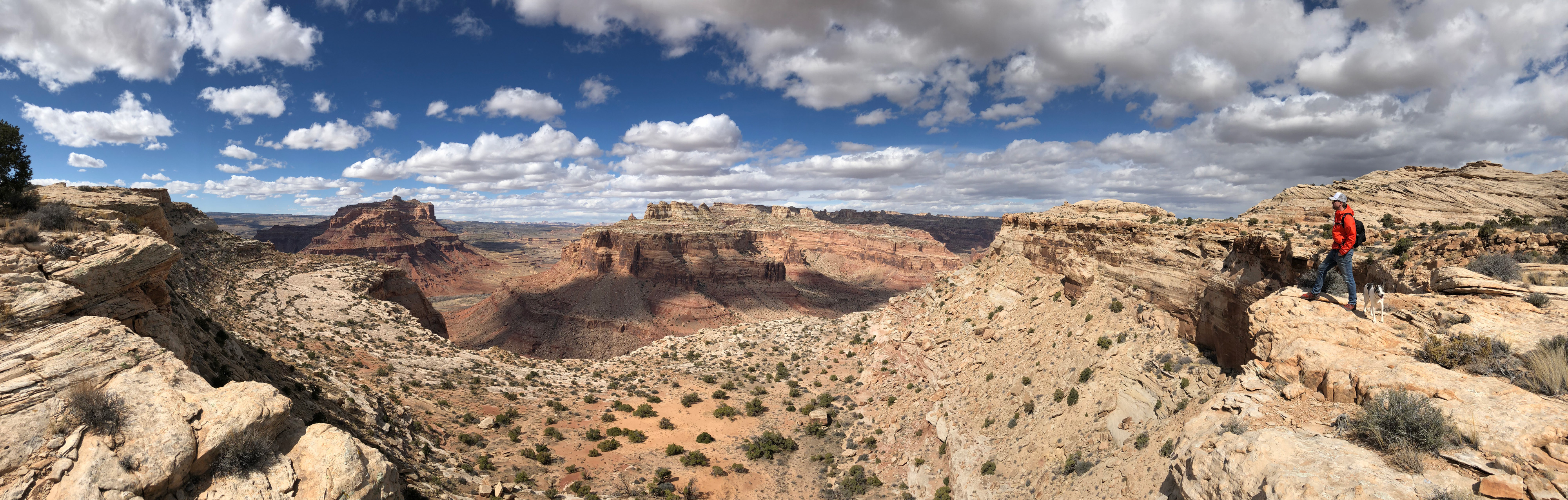 reef-pano-1-web.jpg